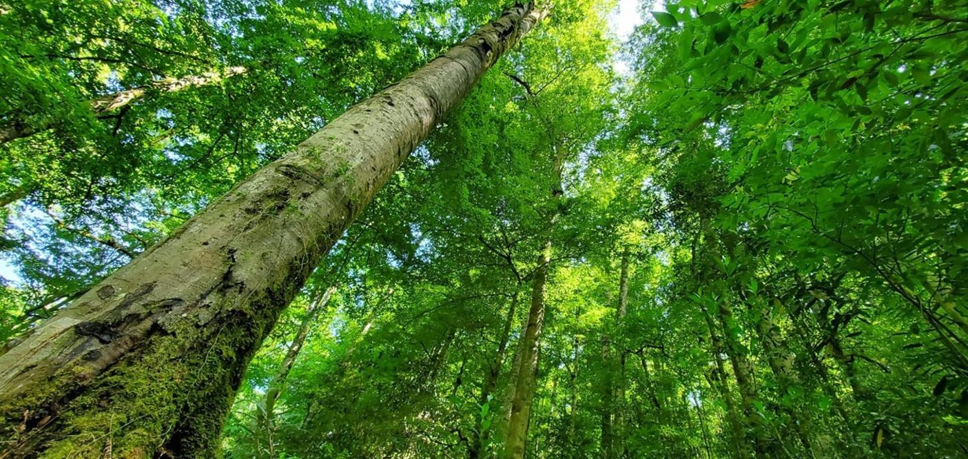 Facebook: H. Ayuntamiento Zacualtipán de Ángeles, Hidalgo, 2020-2024