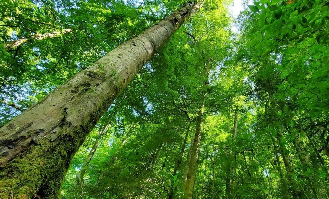 Facebook: H. Ayuntamiento Zacualtipán de Ángeles, Hidalgo, 2020-2024