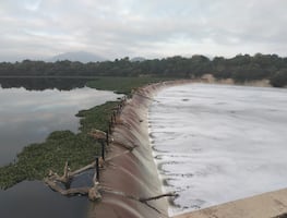 Presas de Hidalgo alcanzan casi el 100% de su capacidad; tres registran derrames