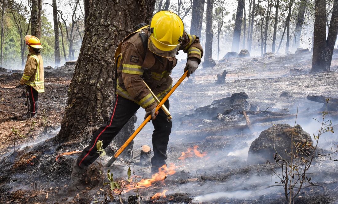 Los incendios ocurrieron en: Acaxochitlán, Juárez Hidalgo, Mineral del Chico, Nicolás Flores, Tepeji del Río, Tulancingo y Santiago Tulantepec.