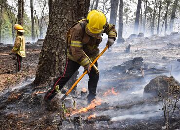 Fuego consume forestación de siete regiones de Hidalgo en dos días