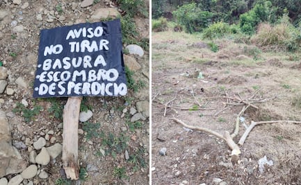 Vecinos denuncian daño a áreas reforestadas en fraccionamiento de Huejutla