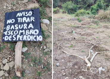 Vecinos denuncian daño a áreas reforestadas en fraccionamiento de Huejutla