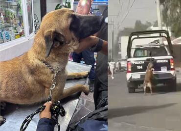 Indignación en redes por video de perrita colgando de patrulla en Tizayuca