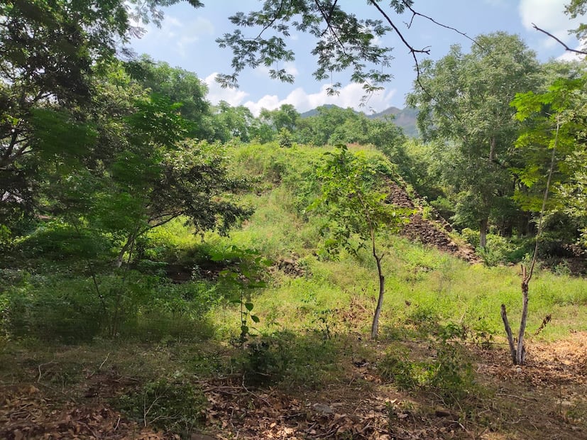 Vestigios arqueológicos de la Huasteca Hidalguense permanecen bajo la maleza y el abandono en Yahualica | Foto: Francisco Bautista