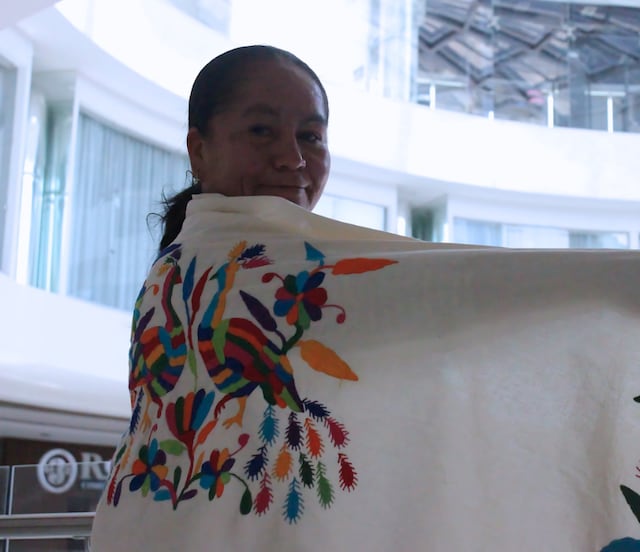 El alma del bordado, Reina Mendoza preserva la memoria textil de Tenango de Doria