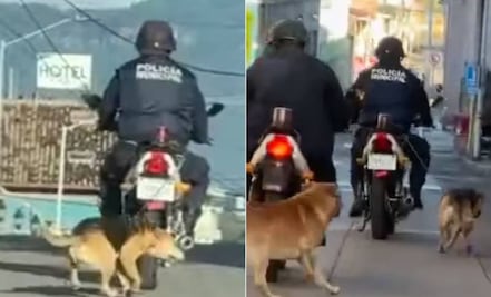 Policía arrastra a perro en su moto en Jalacingo, Veracruz