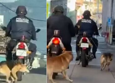 Policía arrastra a perro en su moto en Jalacingo, Veracruz
