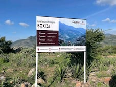 Protegen mil 700 hectáreas de flora y fauna en Chilcuautla