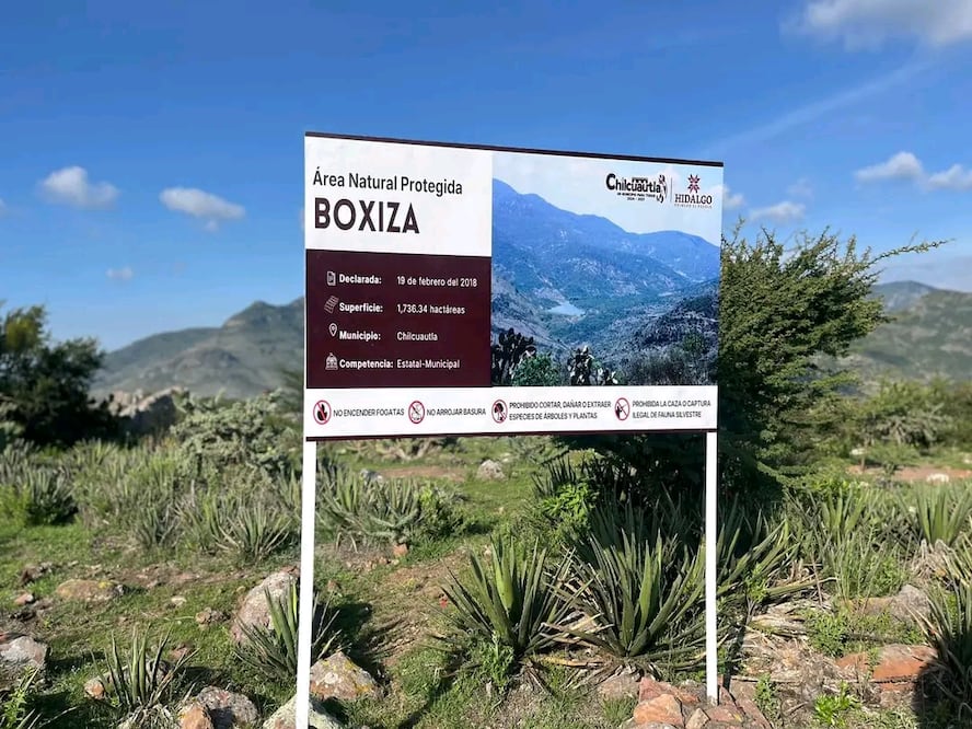 la Reserva Estatal "Boxiza" constituye un valioso refugio para diversas especies de flora y fauna, además de desempeñar un papel fundamental en el equilibrio ecológico del municipio. I Foto: Especial