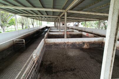 Pachuca lanza licitaciones por 2 mdp para mejorar el rastro municipal