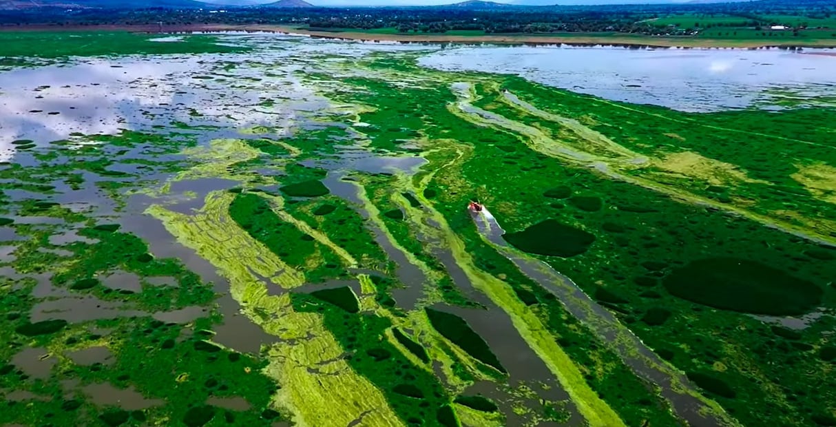Presa Endhó supera su capacidad y trasvasa agua a otros embalses en Hidalgo | Foto: especial