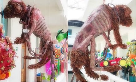Crean piñata para "dar voz" al maltrato animal y genera debate