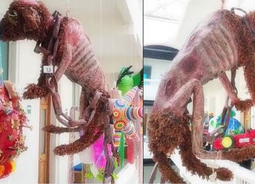 Crean piñata para "dar voz" al maltrato animal y genera debate