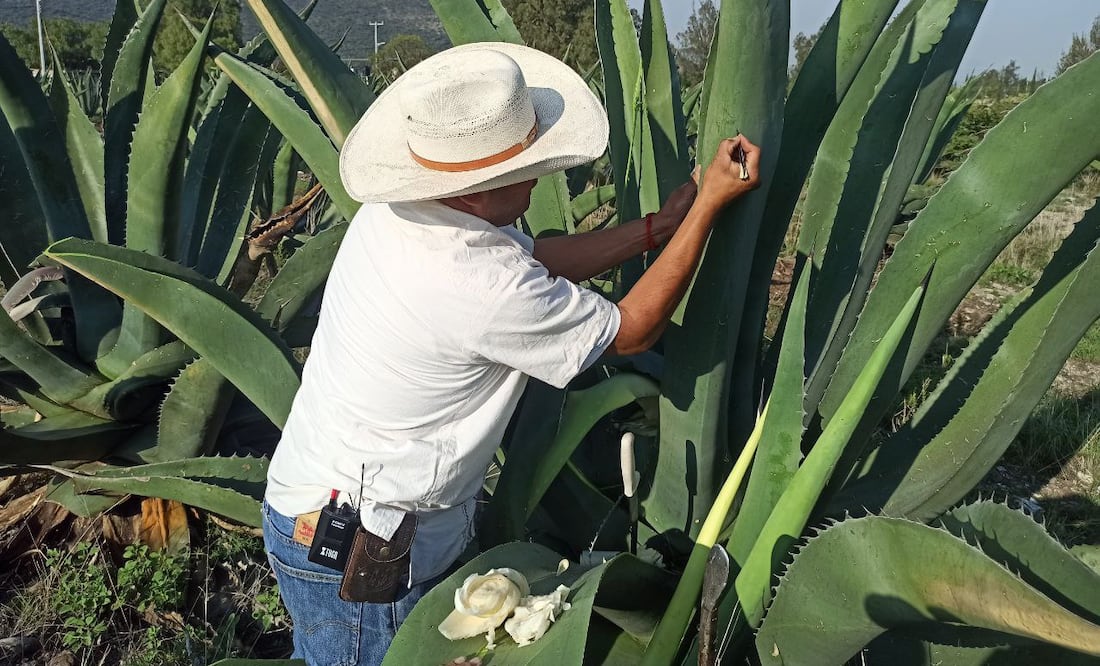 Foto: Gobierno de Hidalgo