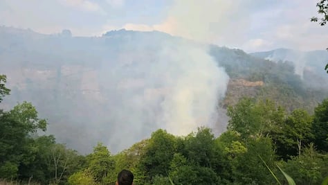 Refuerzan combate a incendio en La Misión con brigadas de la Semarnath