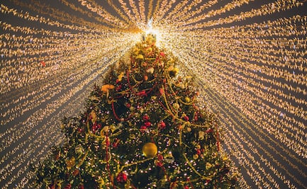 Encendido del árbol navideño marcará el inicio de la temporada festiva en Pachuca