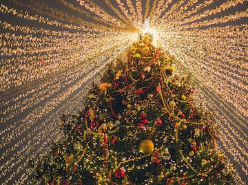 Encendido del árbol navideño marcará el inicio de la temporada festiva en Pachuca