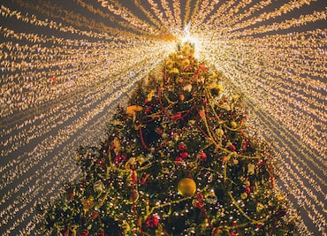 Encendido del árbol navideño marcará el inicio de la temporada festiva en Pachuca