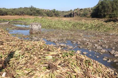 Concluyen con éxito labores de termonebulización en presa Endhó