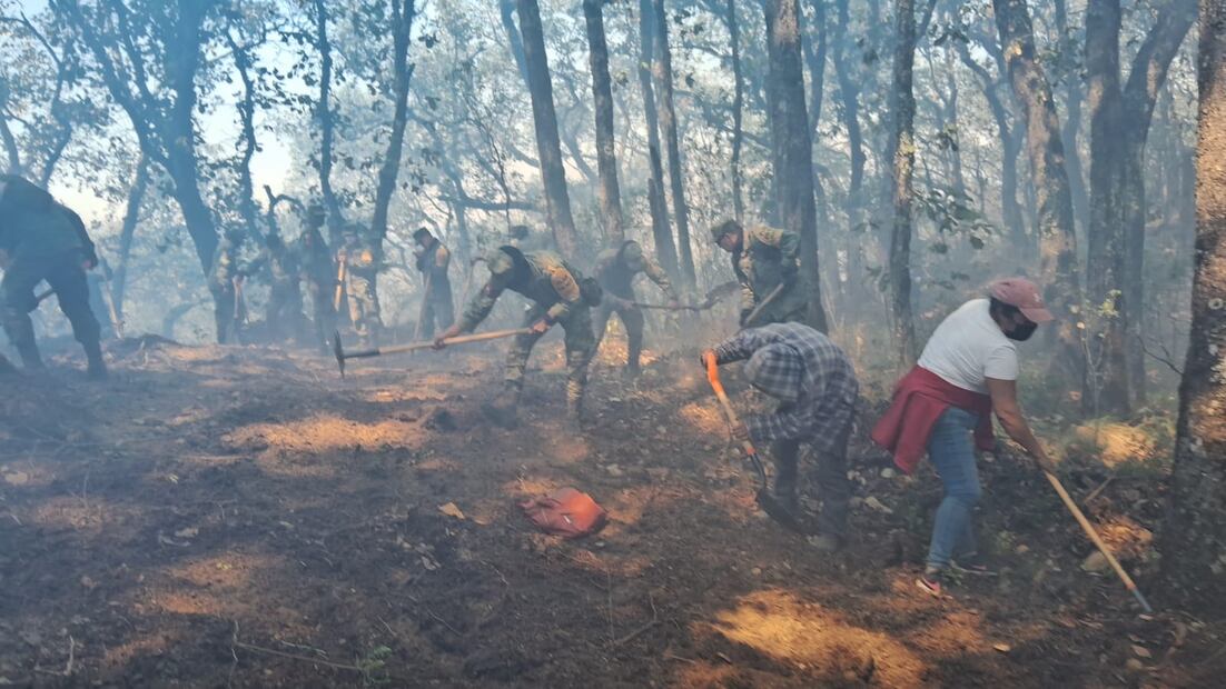 Incendio en Nicolás Flores controlado al 95% | Foto: Especial