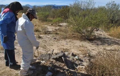 FOTOS: En 10 años, madres buscadoras han encontrado casi 30 campos de exterminio
