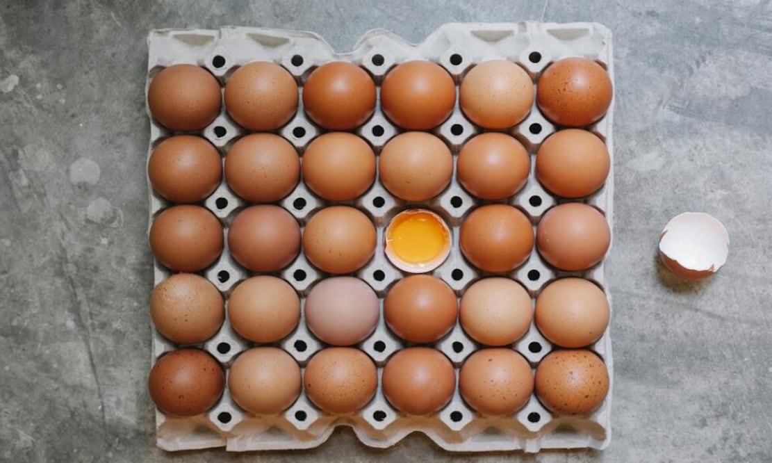 Estos son los huevos más saludables en México, según Profeco. Foto: Nicola Barts / Pexels