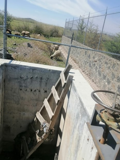 CEAA y CASSIM no acuden verificar planta de tratamiento en Singuilucan | Foto: Grisel Lira
