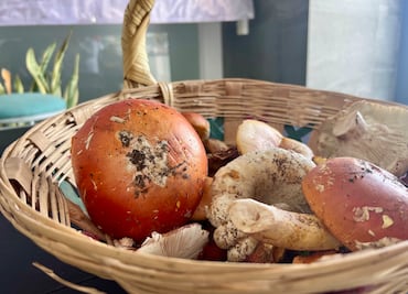 Epazoyucan celebra la octava edición del Festival del Hongo con tradición, sabores y naturaleza