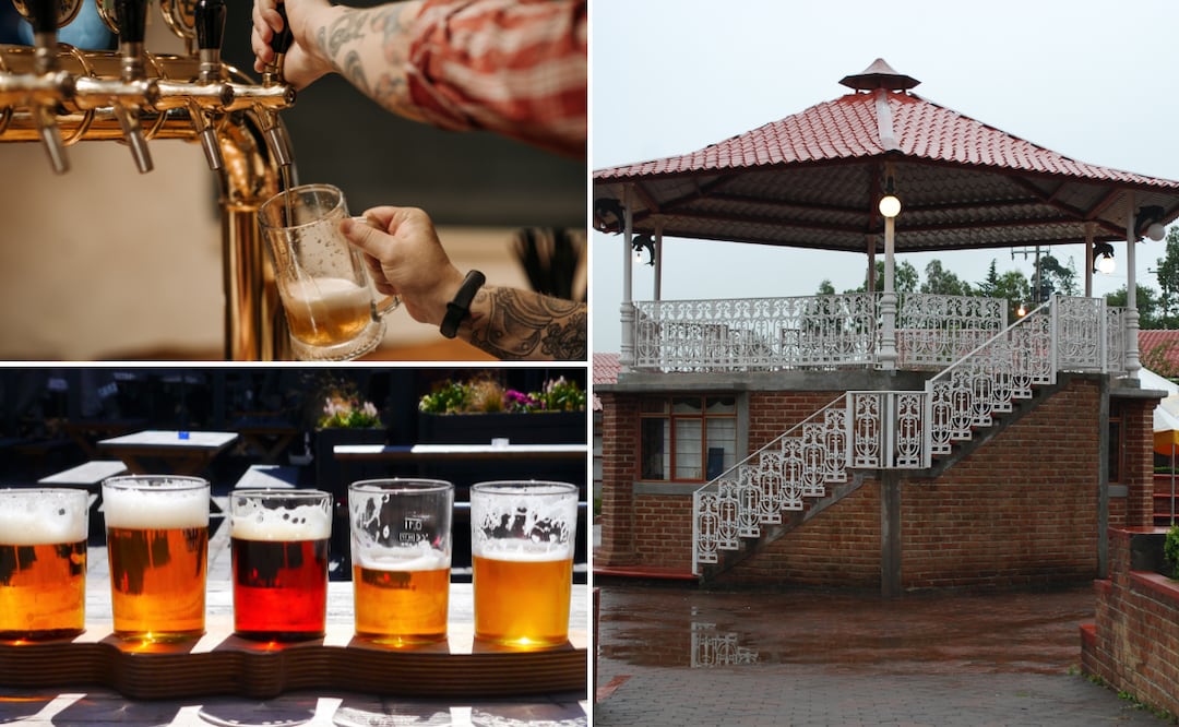 Fotos: Pixabay | Pexels | Wikimedia Commons