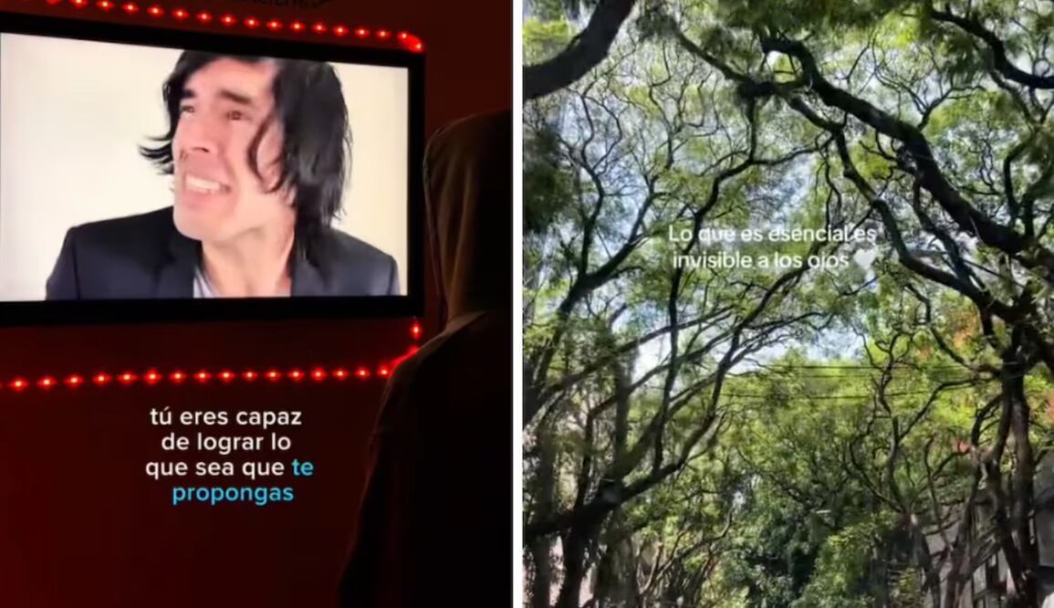 En un mundo saturado de malas noticias, el HopeCore se alza como una tendencia refrescante en TikTok que fomenta la positividad y el bienestar mental. Foto: Captura de pantalla