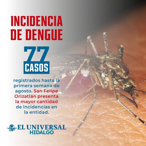 Casos de dengue en Hidalgo suben a 77; 12 se registraron en la primera semana de agosto | Diseño: Saúl Barrera