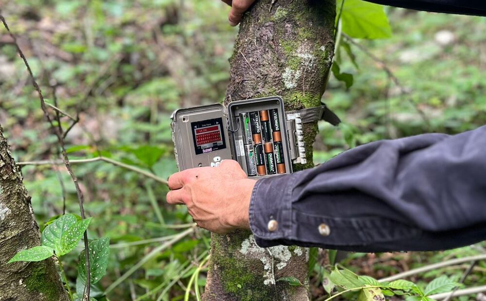 región Otomí-Tepehua I Foto: Gobierno de Hidalgo