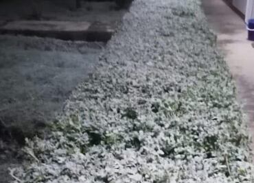 Implementa SSC operativo por descenso de temperatura; hasta cero grados, en Tulancingo