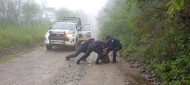 Lluvias en Hidalgo dejan dos niños lesionados y una persona desaparecida