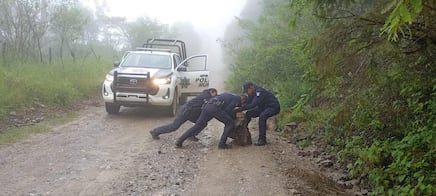 Lluvias en Hidalgo dejan dos niños lesionados y una persona desaparecida