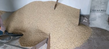 Centro de acopio de Alimentación para el Bienestar se instalará en Yonthe Grande, Alfajayucan