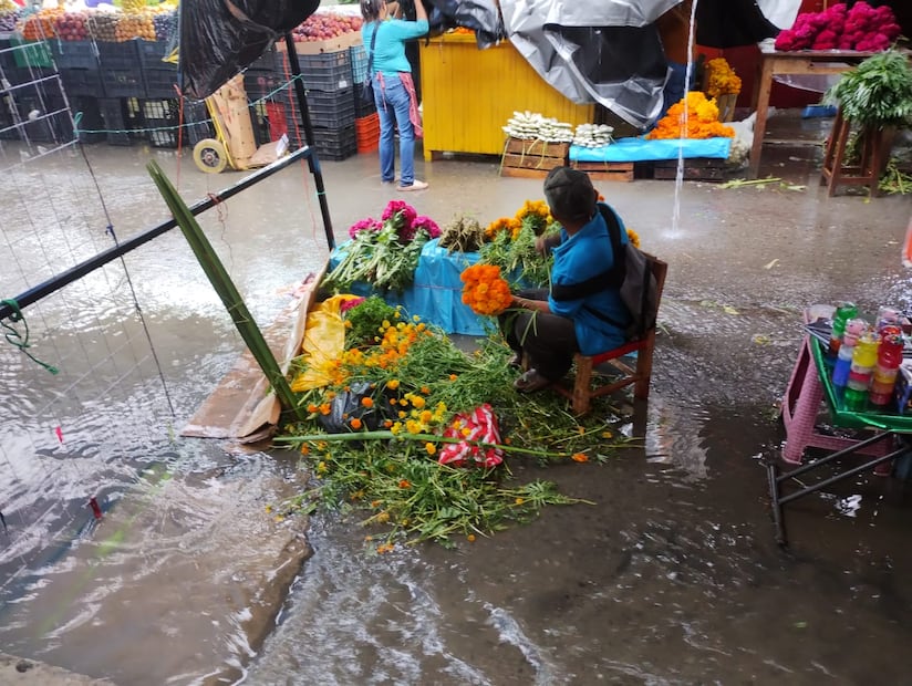 Foto: Francisco Bautista