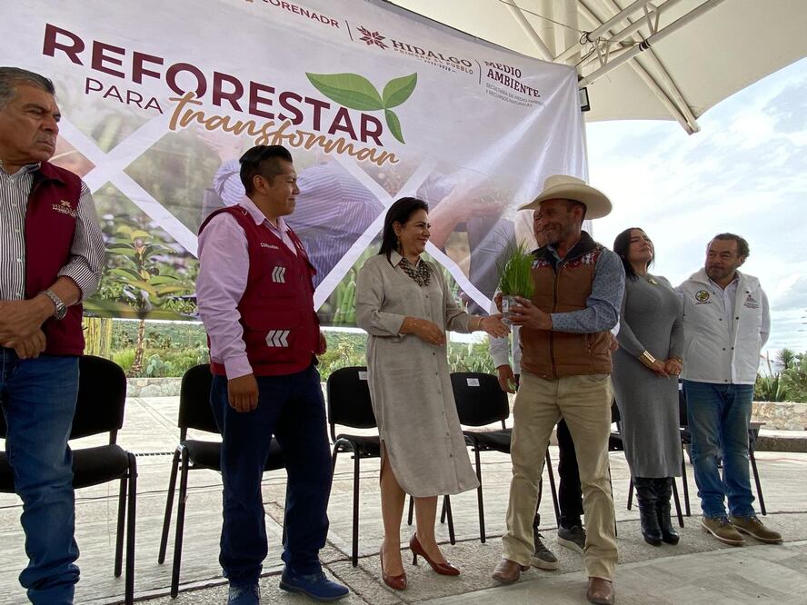 Para el próximo año pretenden producir un 1 millón de plantas para reforestación en el estado | Foto: Luis Soriano