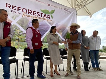 Hidalgo recibe más de 377 mil plantas para reforestar mil hectáreas en zonas prioritarias