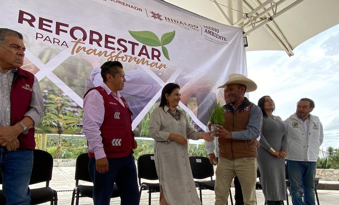 Para el próximo año pretenden producir un 1 millón de plantas para reforestación en el estado | Foto: Luis Soriano
