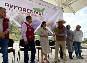 Hidalgo recibe más de 377 mil plantas para reforestar mil hectáreas en zonas prioritarias
