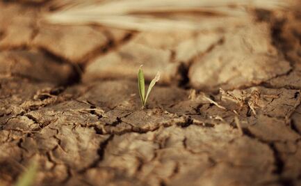 Hidalgo cumple tres quincenas consecutivas sin sequía gracias a lluvias intensas