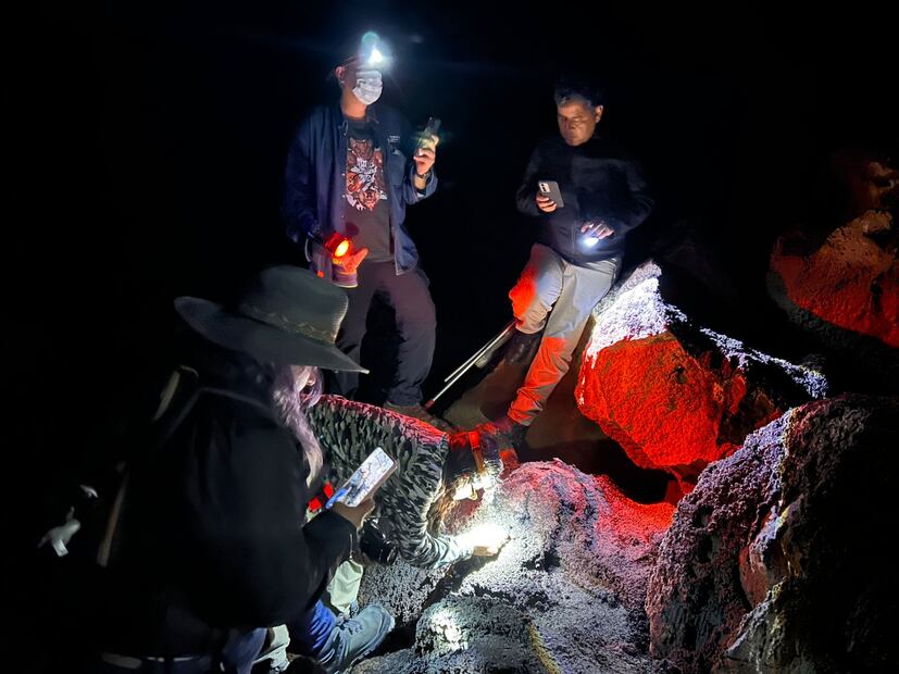 Detectan colonia de murciélagos poco común en cuevas de Cuautepec | Foto: Semarnath