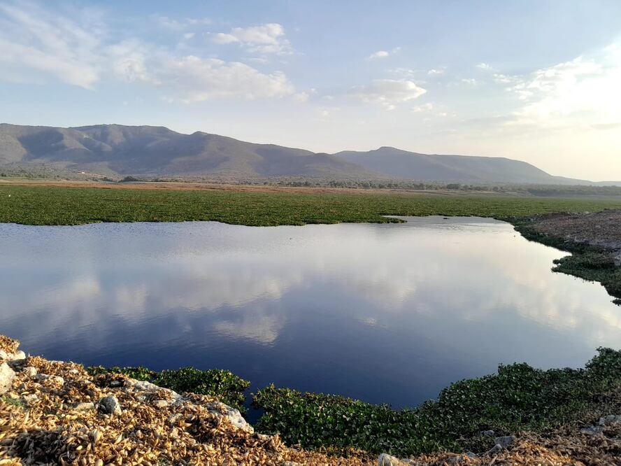 Presa Rojo Gómez I Foto: Ilustrativa
