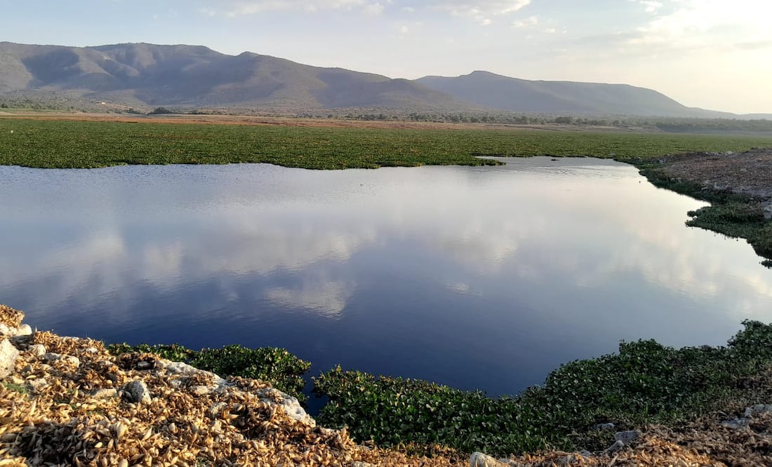 Presa Rojo Gómez I Foto: Ilustrativa