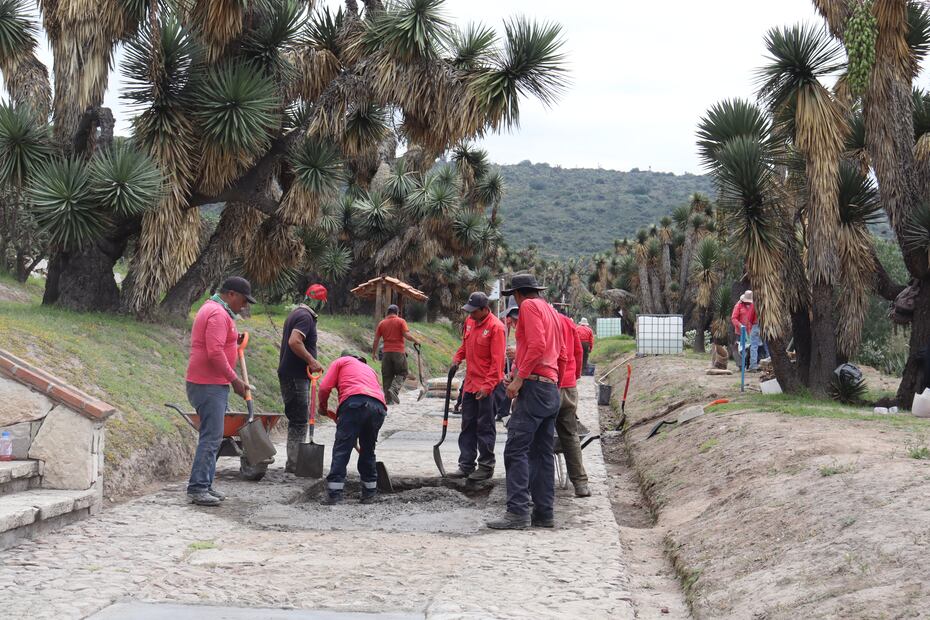Semarnath impulsa la conservación y accesibilidad en el Parque Ecológico Cubitos con rehabilitación de senderos | Foto: Semarnath
