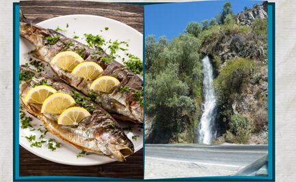 San Agustín Metzquititlán celebrará su primer Festival de la Trucha en un entorno natural