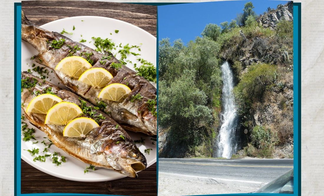 Imagen ilustrativa | Foto: Wikimedia Commons