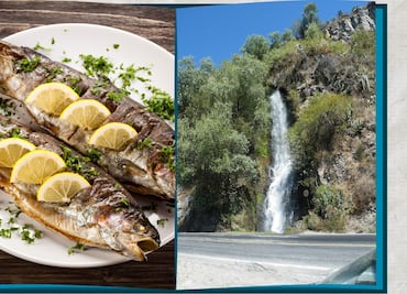 San Agustín Metzquititlán celebrará su primer Festival de la Trucha en un entorno natural